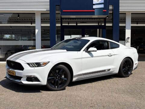 Ford Mustang Fastback 2.3 EcoBoost